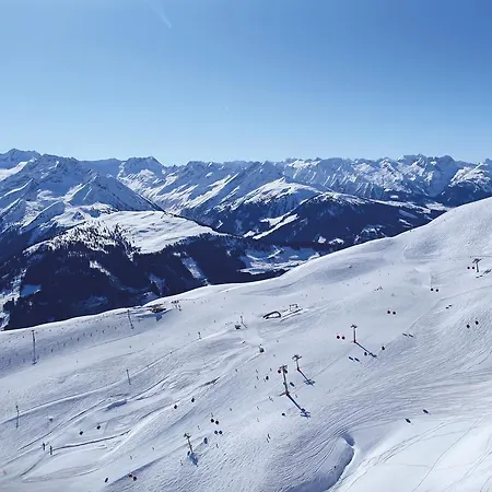 Maria Theresia 盖洛斯